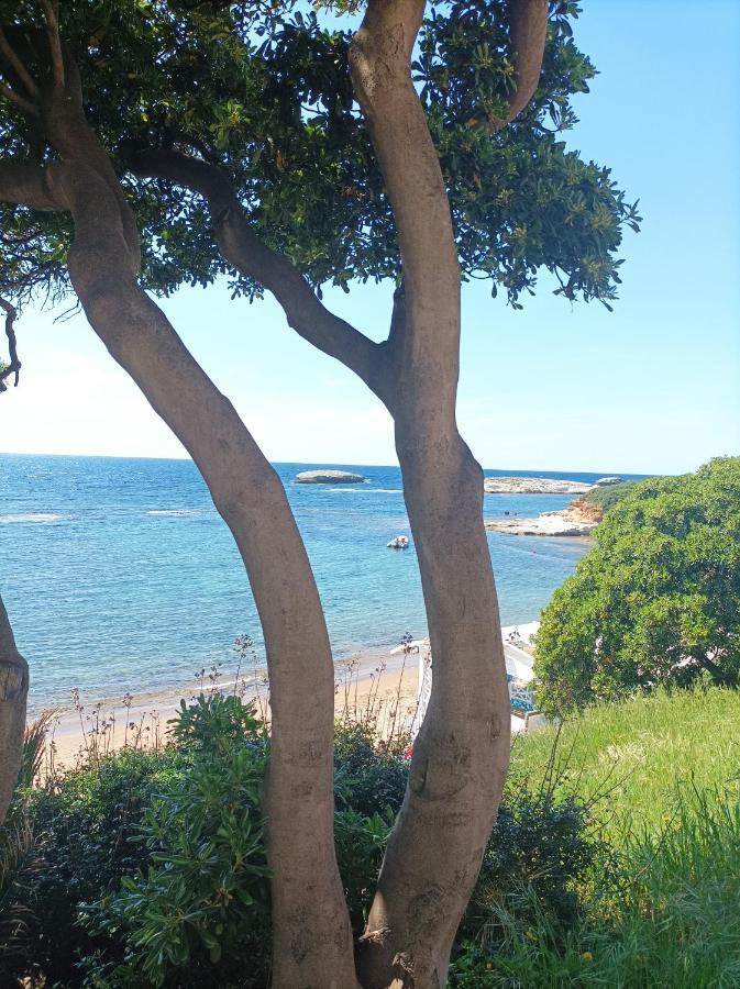 Gentarrubia - a casa nel cuore della città Oristano Esterno foto